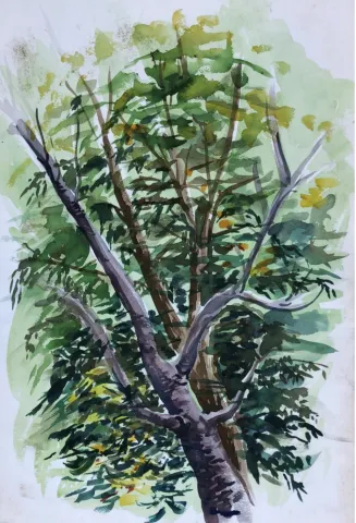 painting of a tree
