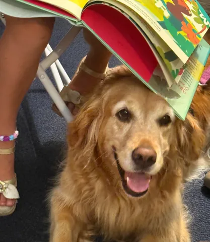 dog sitting under an open picture book