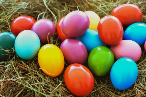easter eggs in the grass