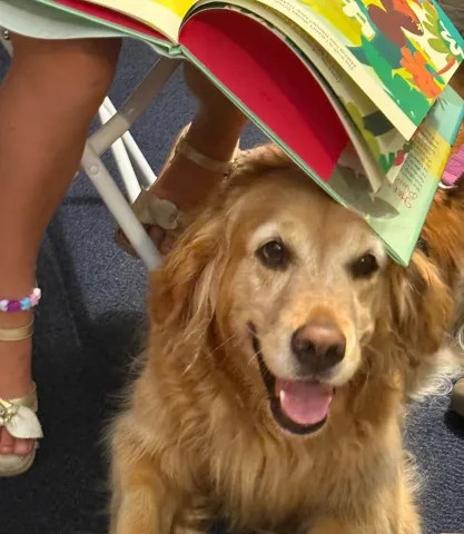 dog with a book