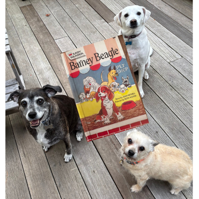 3 small dog with Barney the Beagle book